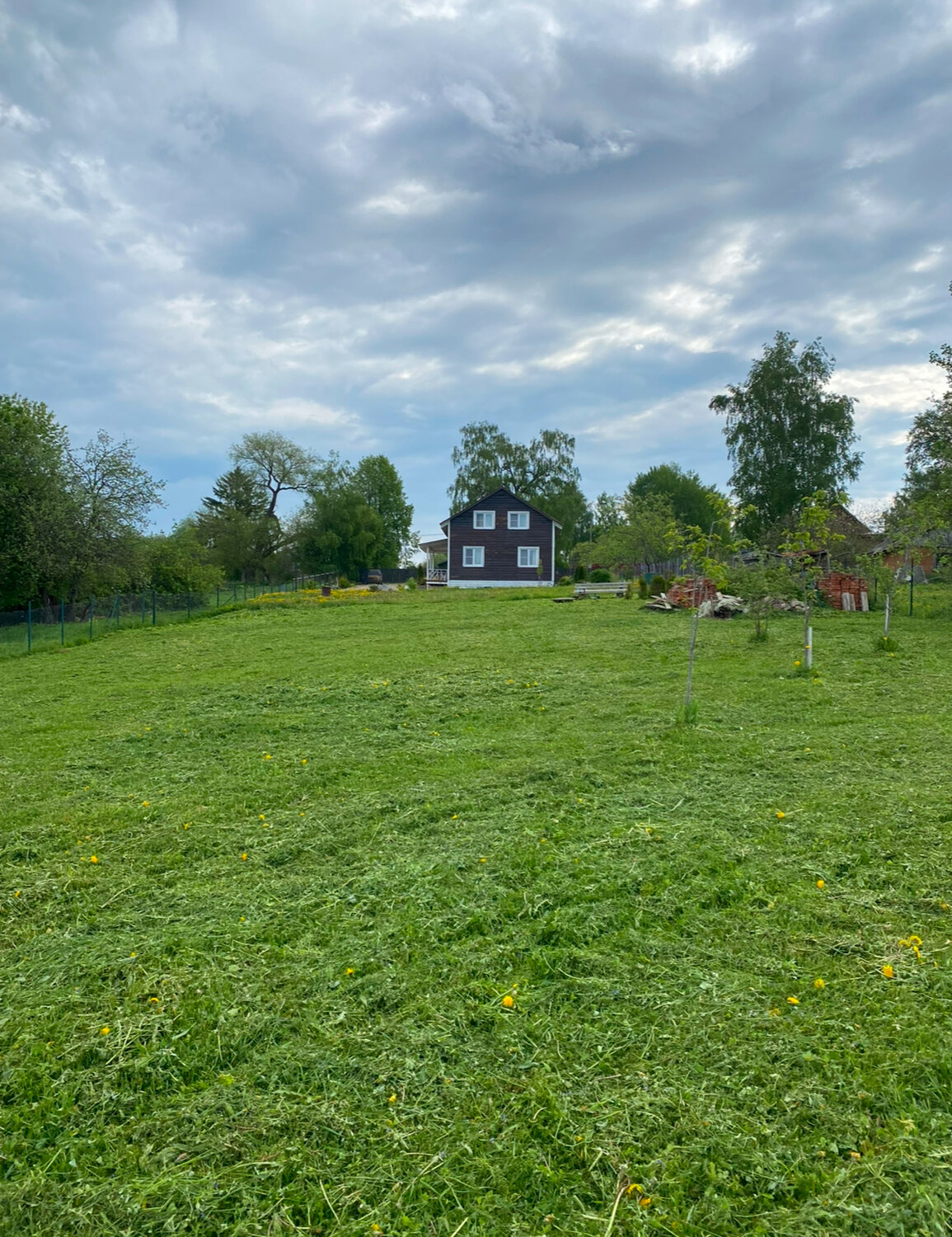 береза повислая, земельного участка, дерево береза, здание, в деревне