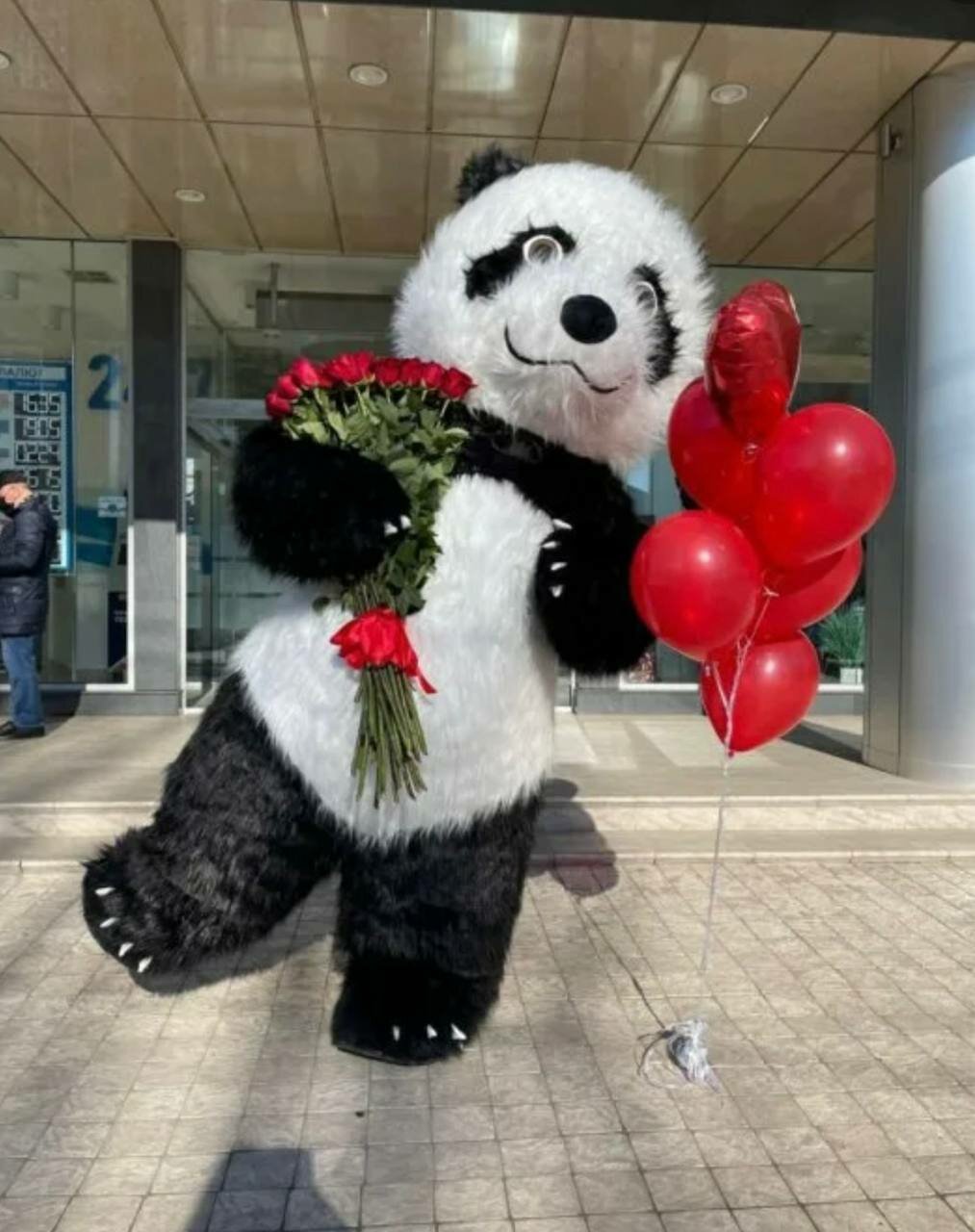 ростовая кукла панда, мишка панда, панда 🐼, большая панда, ростовая панда