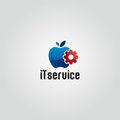 iTservice