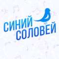 музыкальная школа "Синий Соловей"
