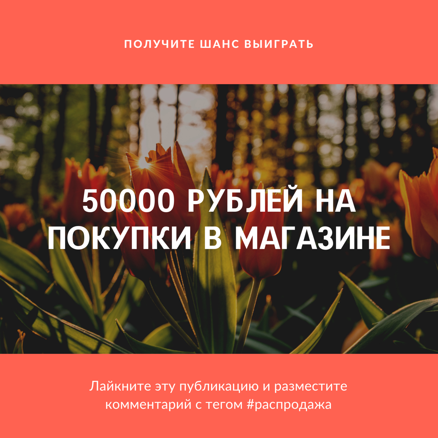 текст, ганс христиан андерсен дочь болотного царя, природа, растения, дочь болотного царя