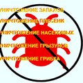 Центр дезинфекции