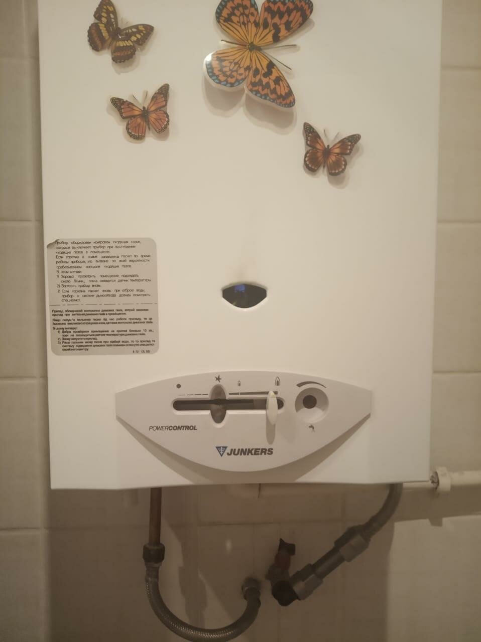 коллекция бабочек набокова, энтомологическая коллекция бабочек, музей бабочек пятигорск, коллекция бабочек, бабочка