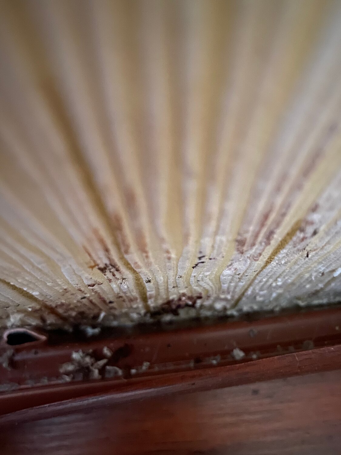 вагонка, вагонка из сосны, грязь в поликарбонате, расширение вагонки от влажности, кухня вагонка