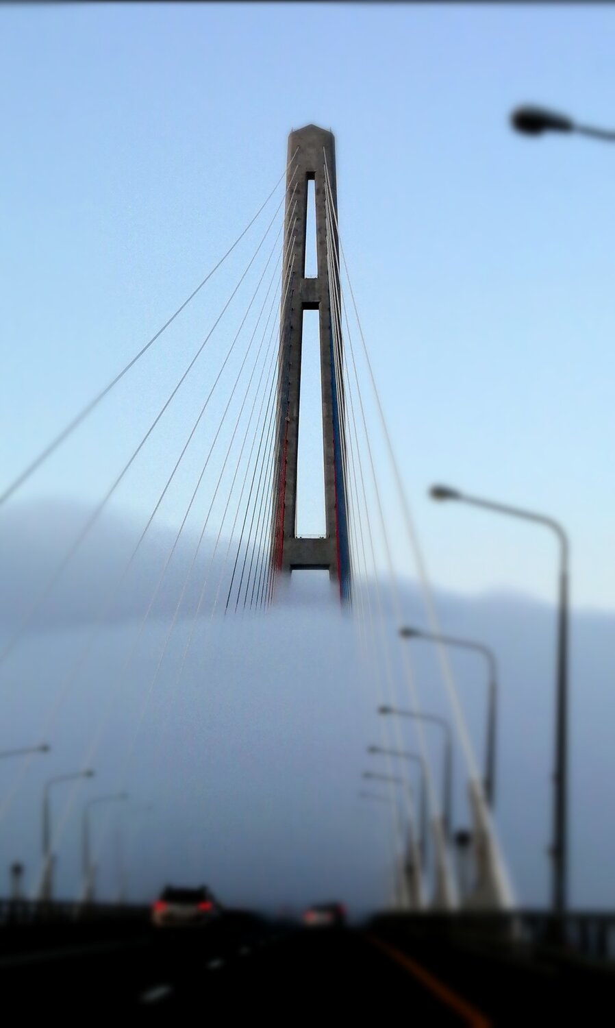 мост через остров русский, jembatan suramadu, владивосток русский мост, мост на остров русский во владивостоке, владивосток мост