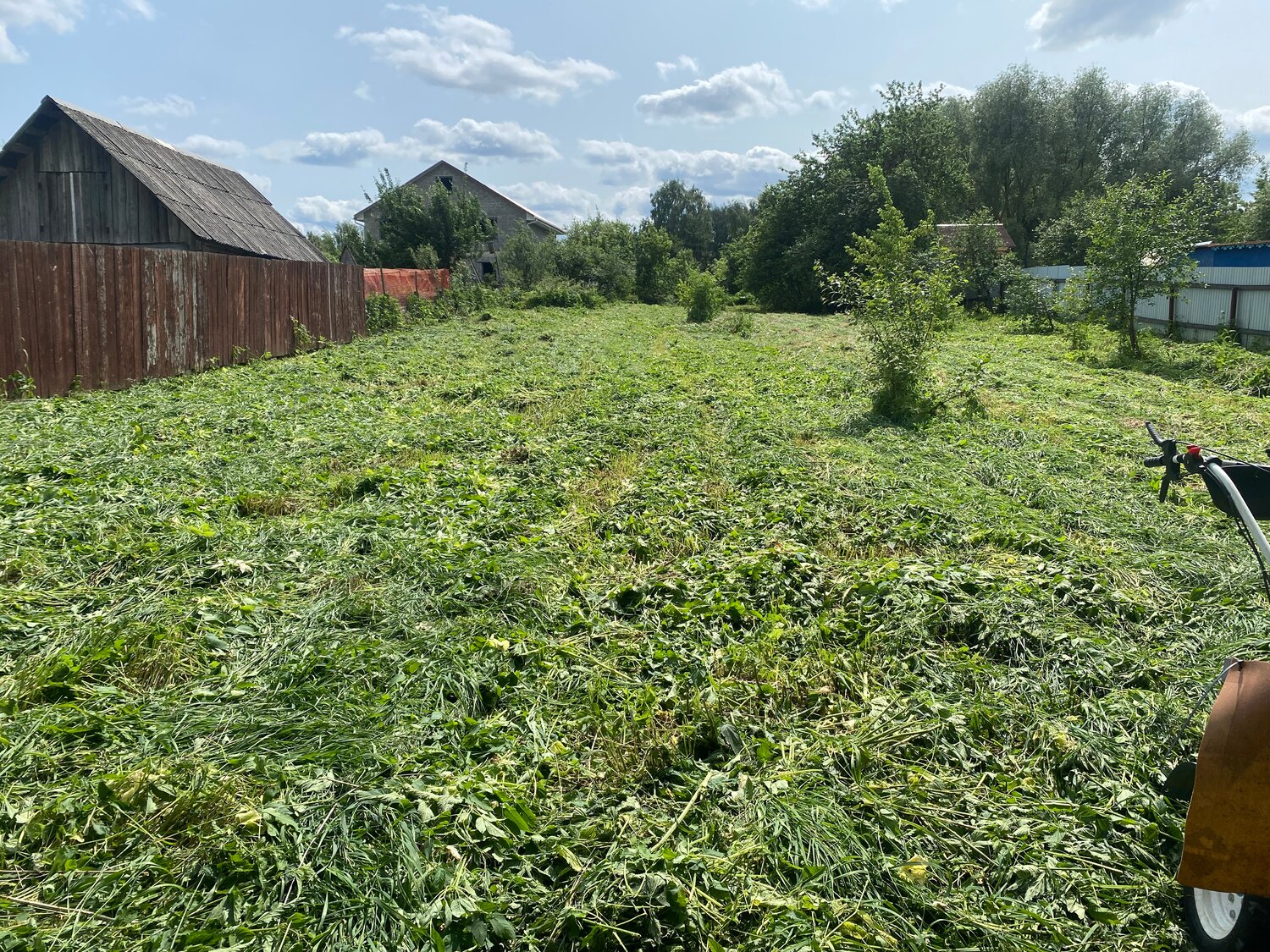 покос травы, покос травы триммером, покос травы на участке, покос газона, земельного участка