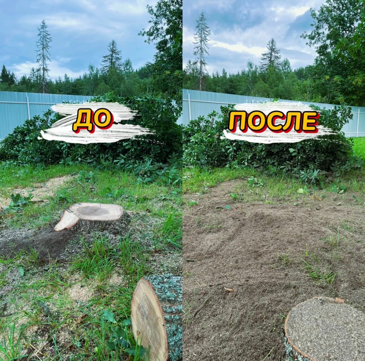 вырубка деревьев, сруб дерева, спил дерева, спиленное дерево, деревья на участке