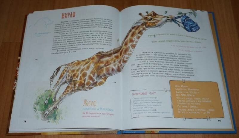 жираф жираф, интересное о жирафе для детей, моя первая книга. животные, жираф, жираф рассказ