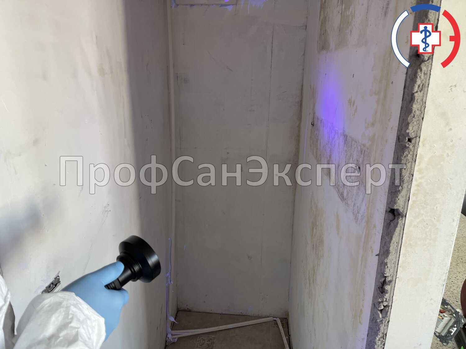 штукатурка стен, обработка от плесени, дезинфекция помещений, дезинфекция вентиляции, дезинфекция плесени
