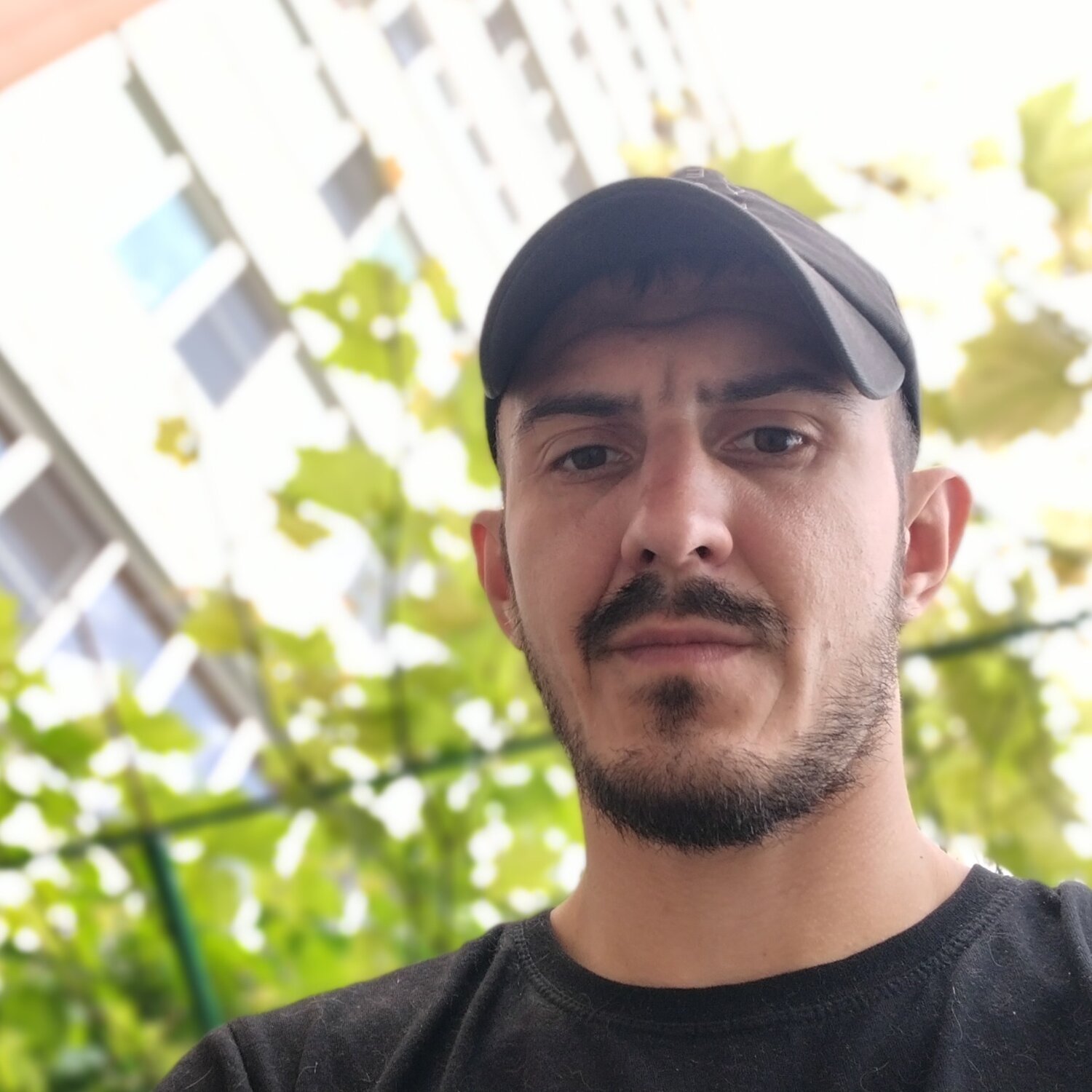Василий K.