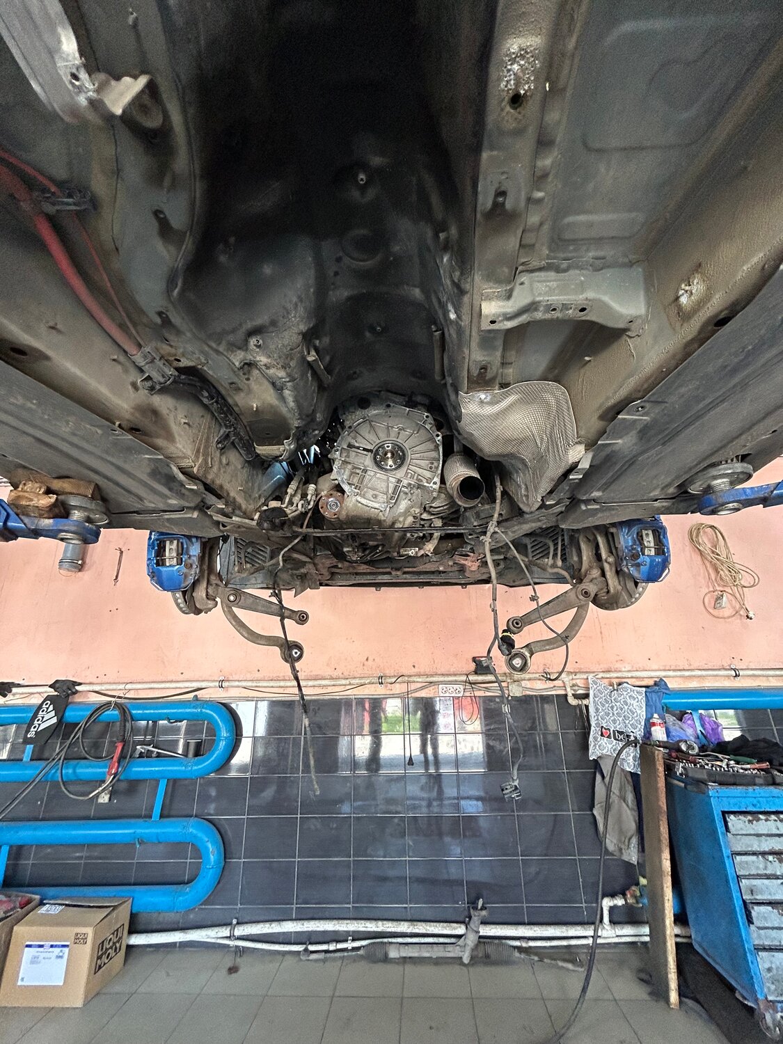 днище автомобиля, днище машины, антикор днища, днище bmw e39, днище бмв е60