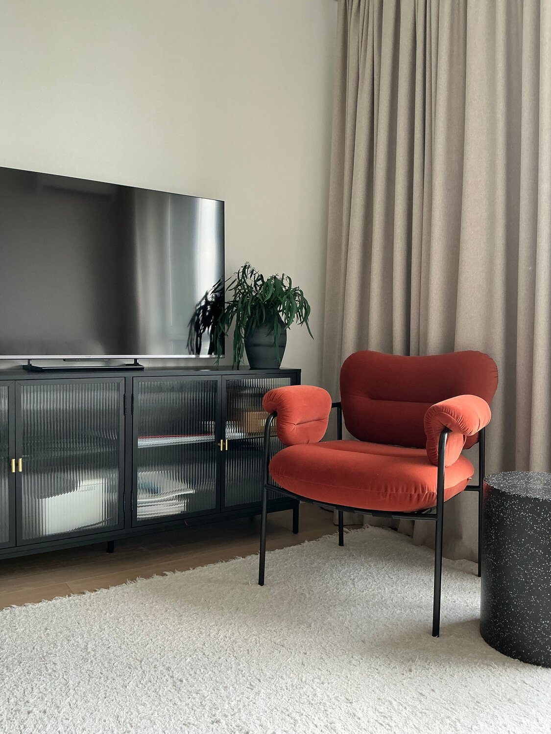 ������������, ������������ ������ ����������������, ������������������������ ������������, ������������ bollo foggia, ������������ ������������