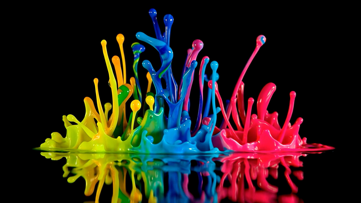 ��������������, ������������������������ ������������, ������������ ������������, �������������� ������������, ������������������������ ������������