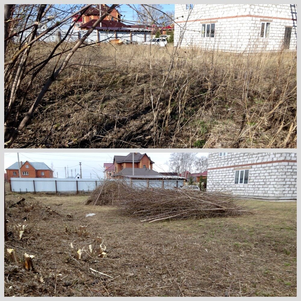 земельный участок, участок, расчистка участка в белгороде, деревни, участок на зеленом острове ростов
