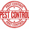 PEST-CONTROL