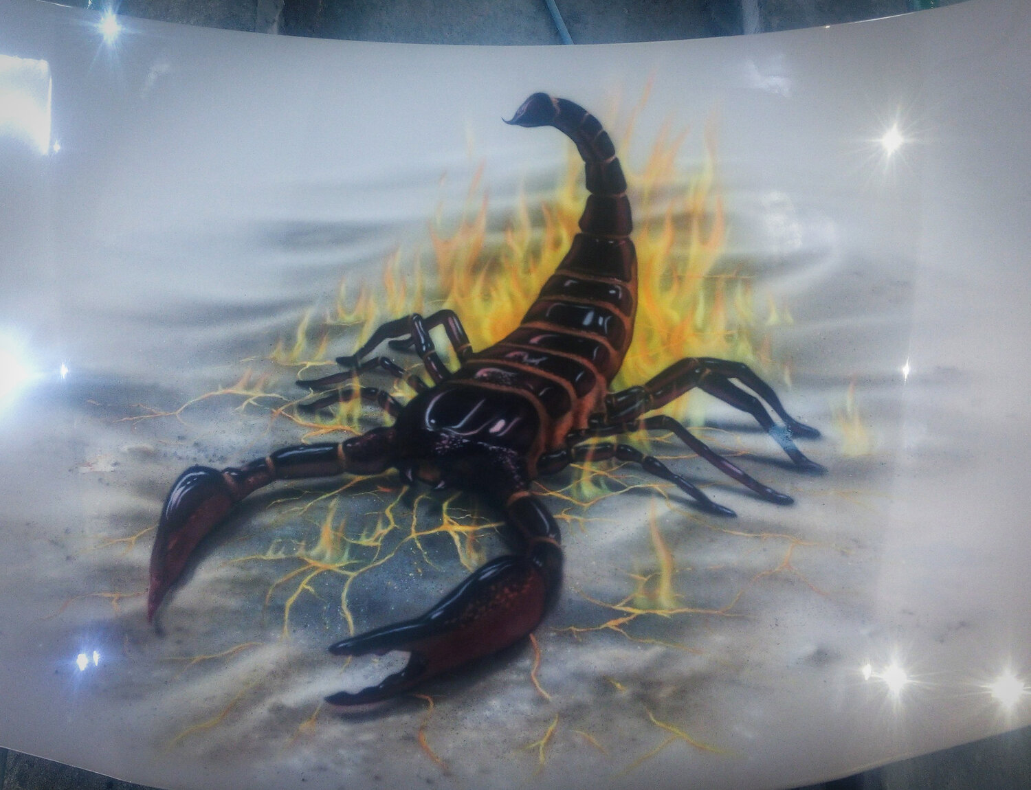 скорпион, паукообразные скорпионы, императорский скорпион, lychas tricarinatus скорпион, скорпион арт