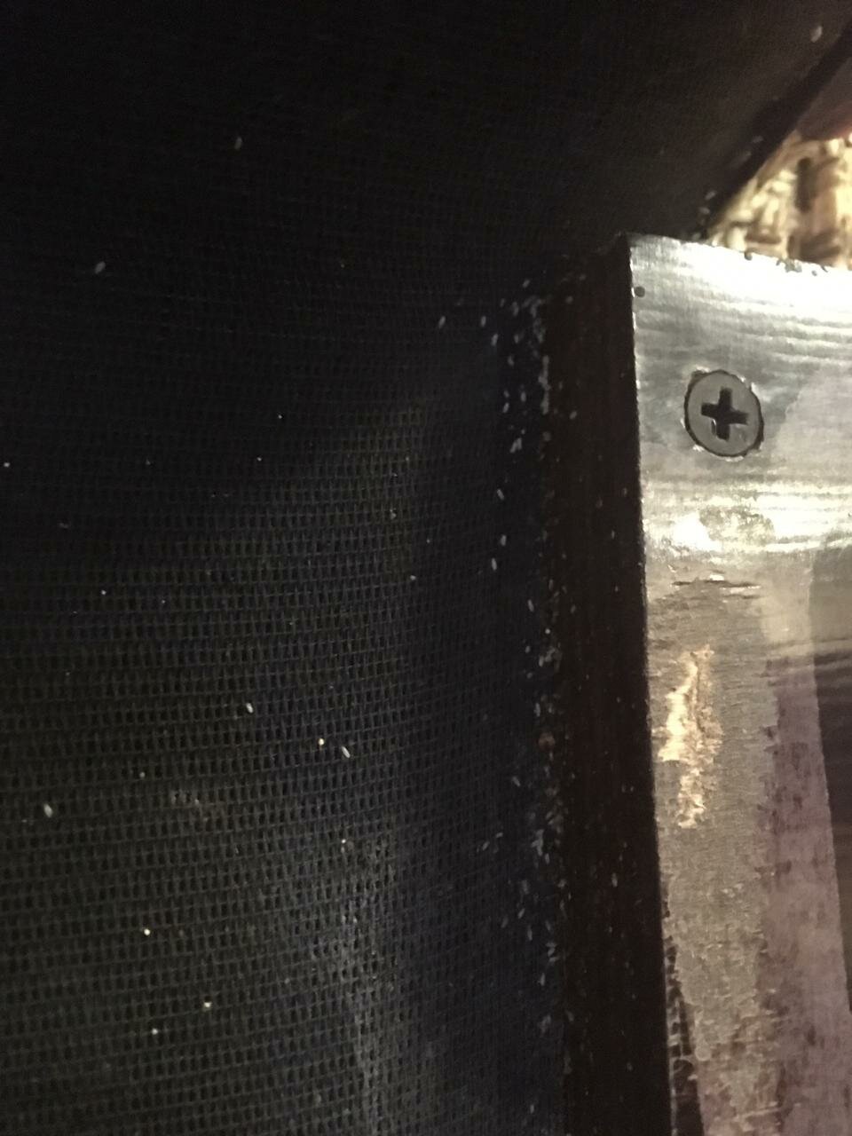 металл, дверь, строительство или ремонт, авто, сетка