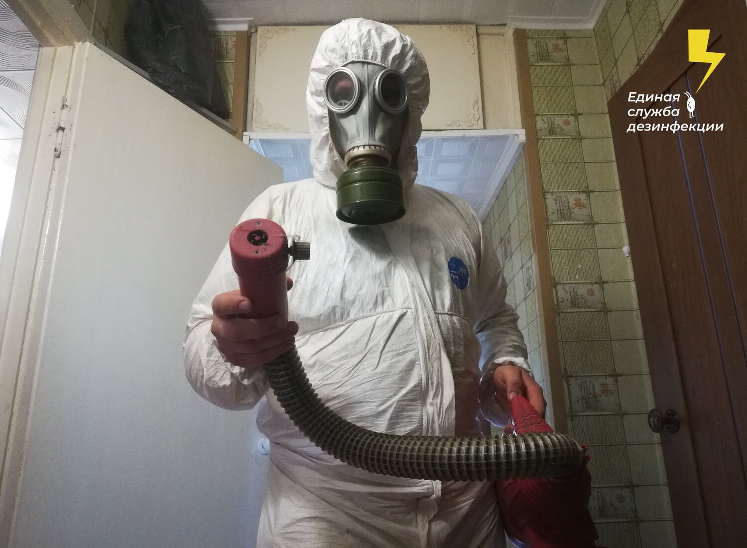 дезинсекция, уничтожение клопов, дезинфекция помещений, дезинфекция, дезинсекции, дератизации с 2005 года. наши