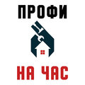 Профи на час