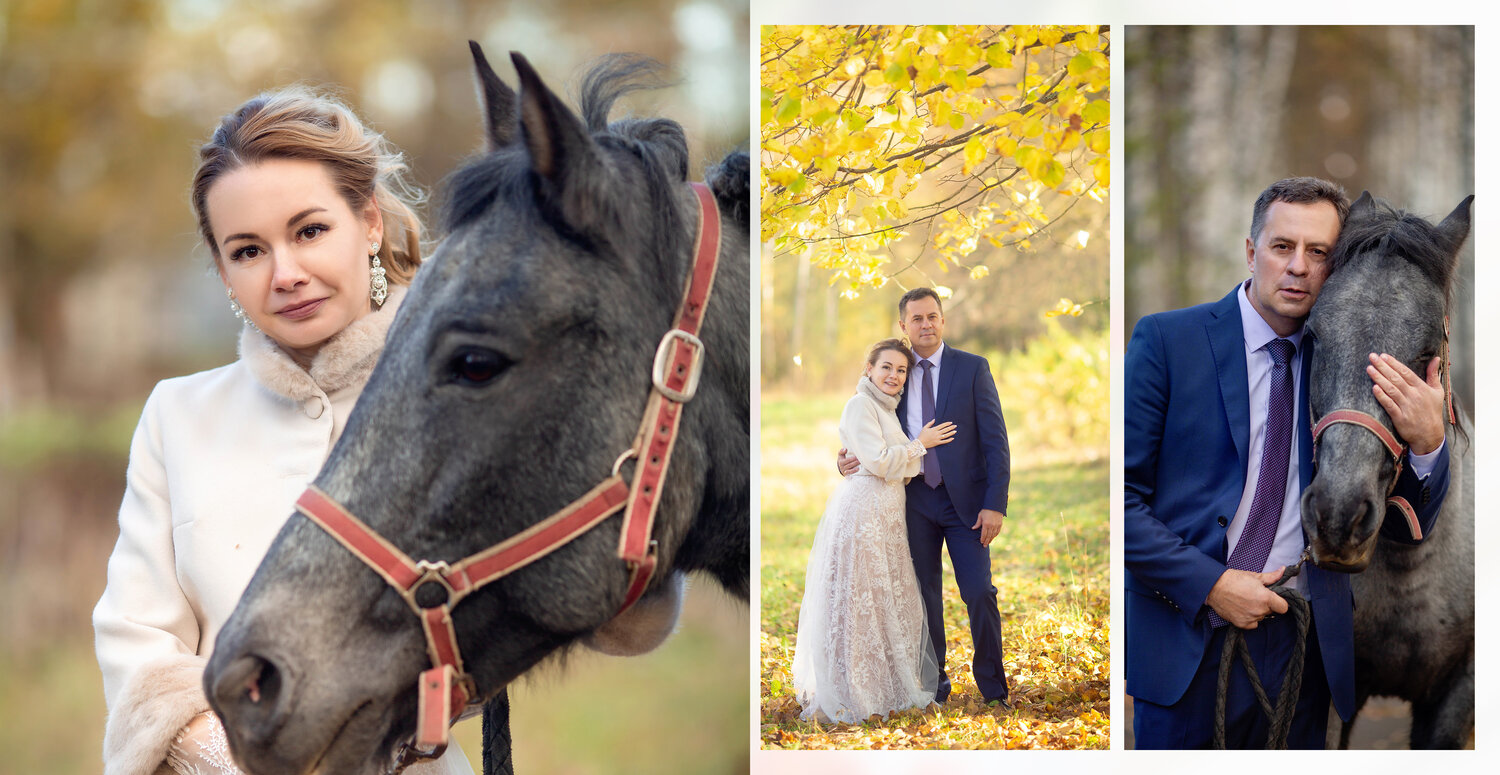 девушка, свадебная фотография, женщина, свадьба, bride groom horse