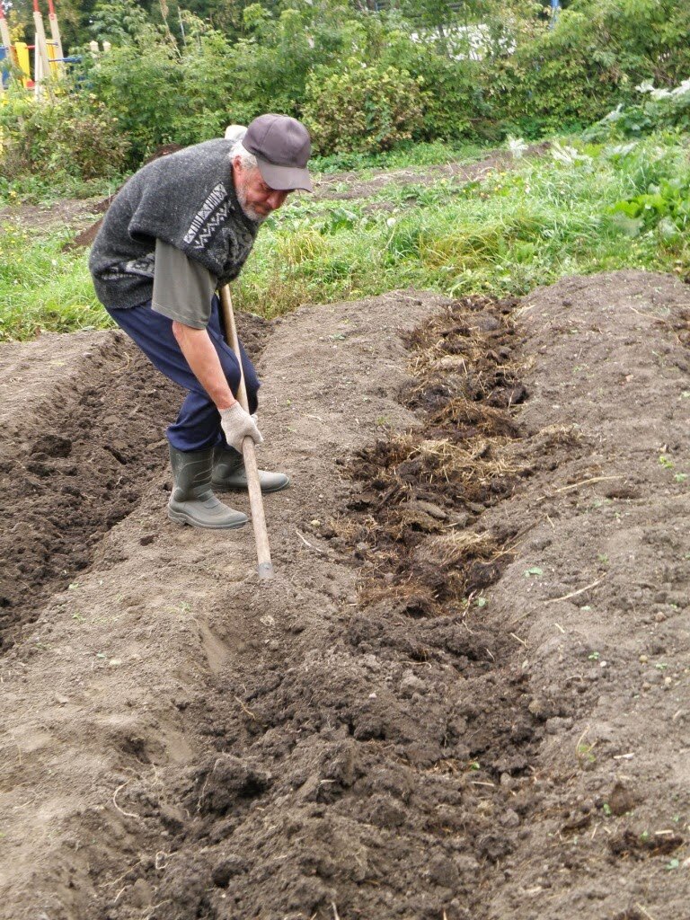 копка гряд, копка грядок, копать землю, осенняя перекопка земли, копки