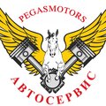 Pegas-Motors (Пегас-Моторс)