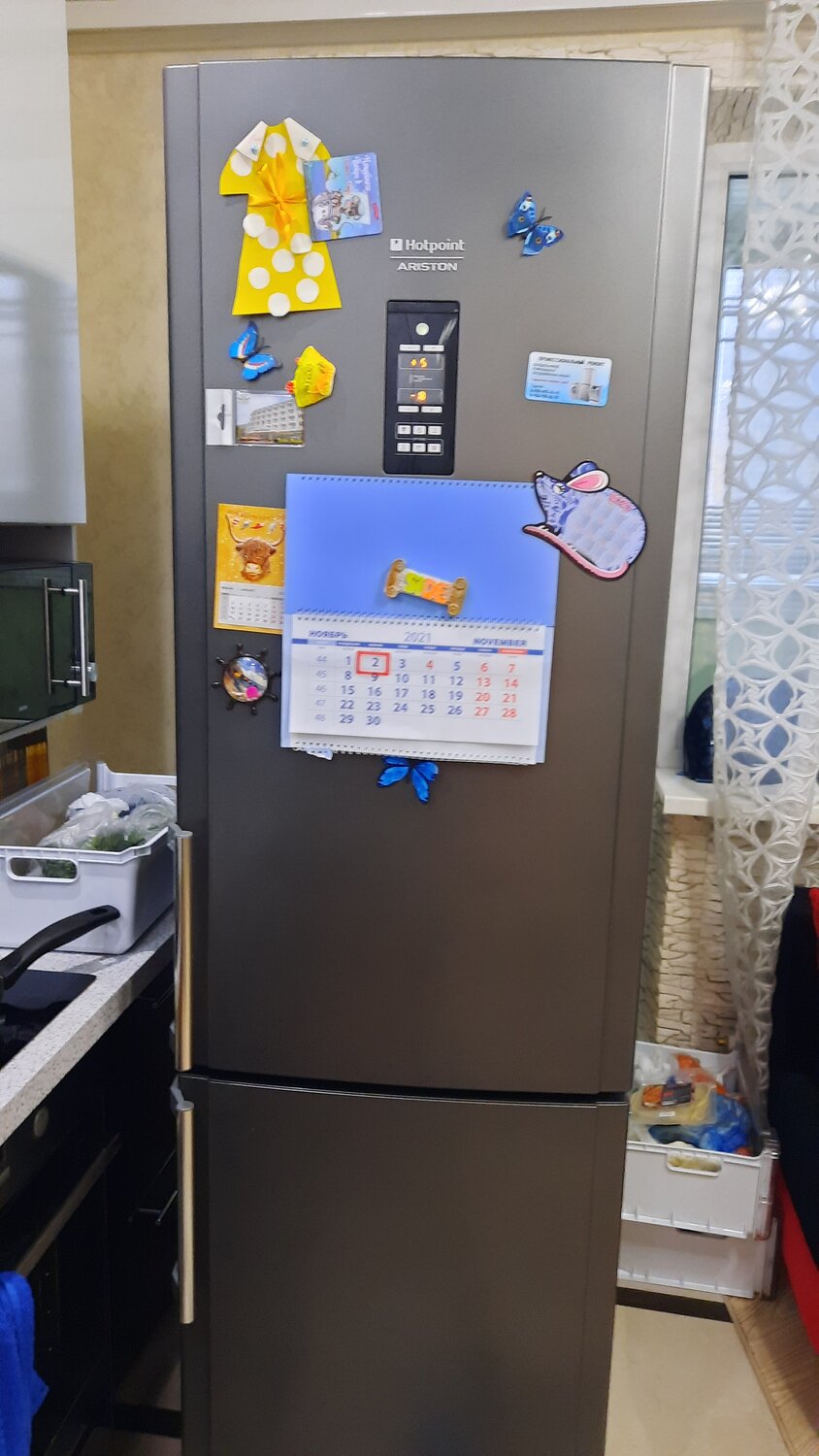 бытовая техника, холодильник, техника, бытовая техника холодильник, бытовые холодильники