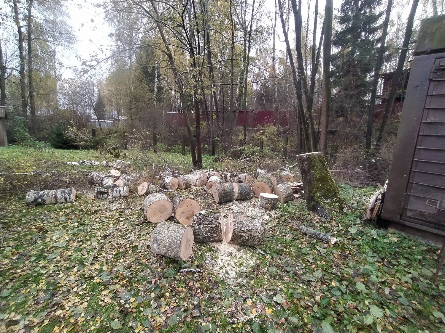срубленный лес, броселианд могила мерлина, городской парк, кладбище, мистические места германии illenauer friedhof