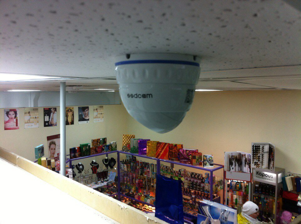 камера, сетевая ip-камера видеонаблюдения carcam cam-2888p, купольная камера, камера видеонаблюдения carcam cam-880, видеонаблюдение в магазине