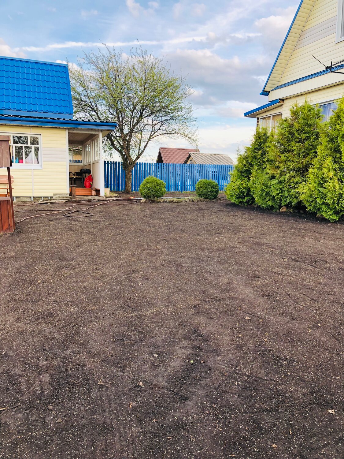 участок, дача, ландшафтный дизайн, газон на даче, загородный дом