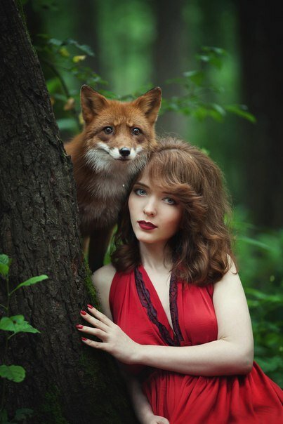 женщина лиса, лиса, лисица, домашняя лиса, рыжий лис