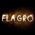 Фаер шоу и световое шоу Flagro