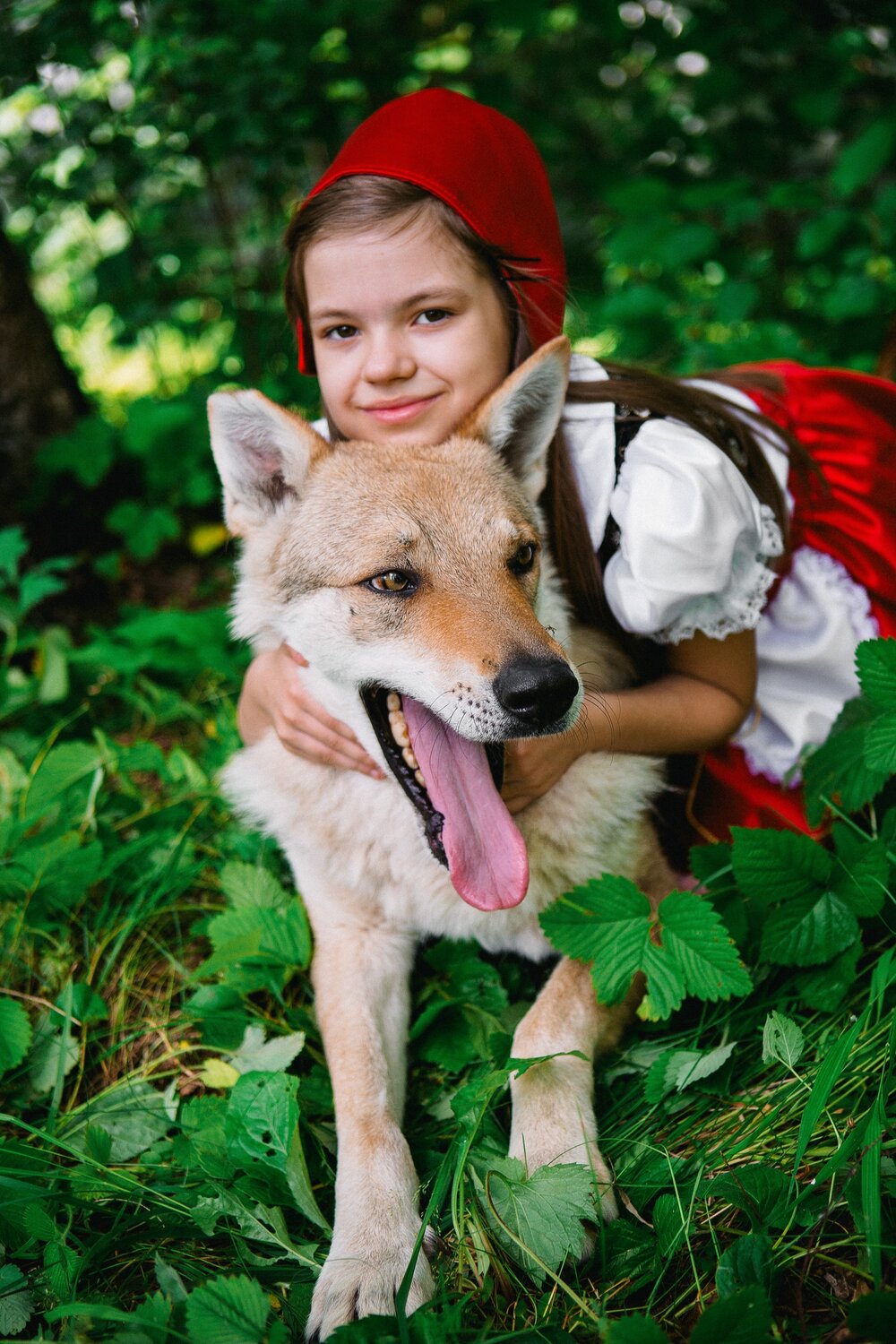 красная шапочка, красная шапочка фотосессия, красная шапочка москва, красная шапочка и волк, животное