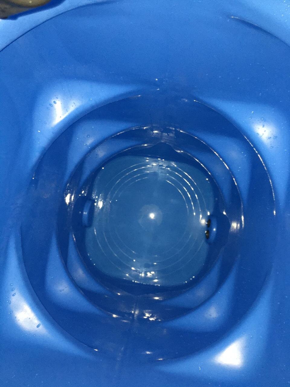 круги на воде, вод, концентрические круги на воде, water, чистая вода