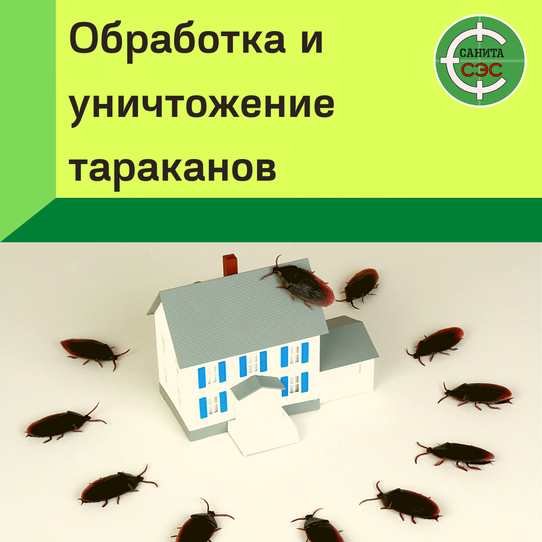 тараканы в доме, уничтожение насекомых, уничтожение клопов тольятти, эффективное уничтожение клопов, жилище тараканов в квартире