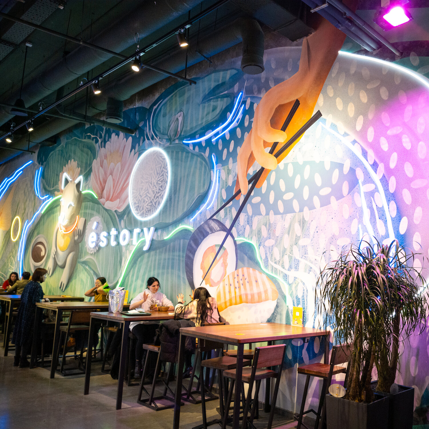 пальма драцена, драцена, кодиеум занзибар, растения, драцена маргината