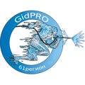 Аварийная служба GidPRO