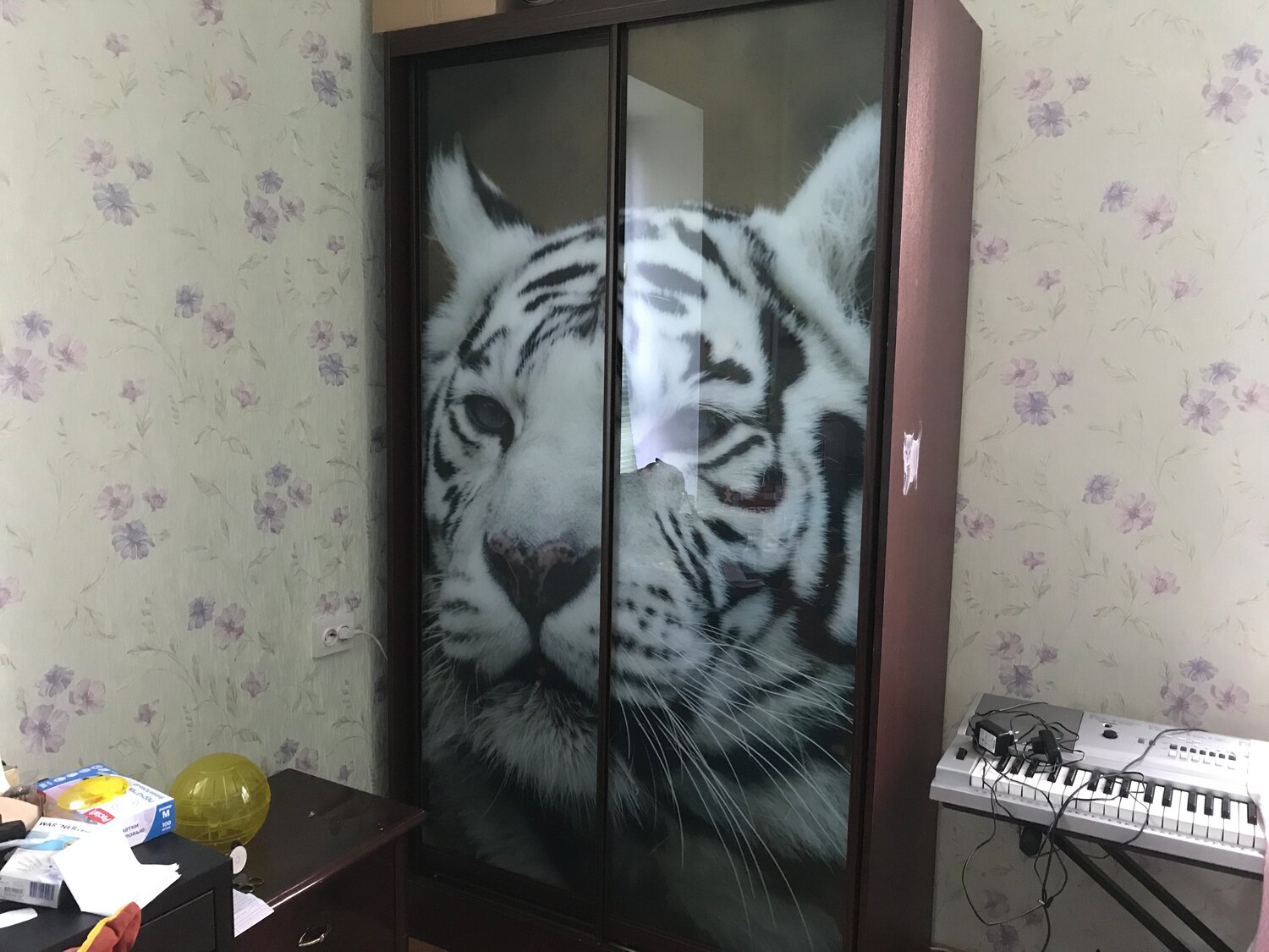 шкаф купе, шкафы купе с печатью льва, шкафы-купе с фотопечатью с кошками, шкаф купе с бенгальским тигром, комната