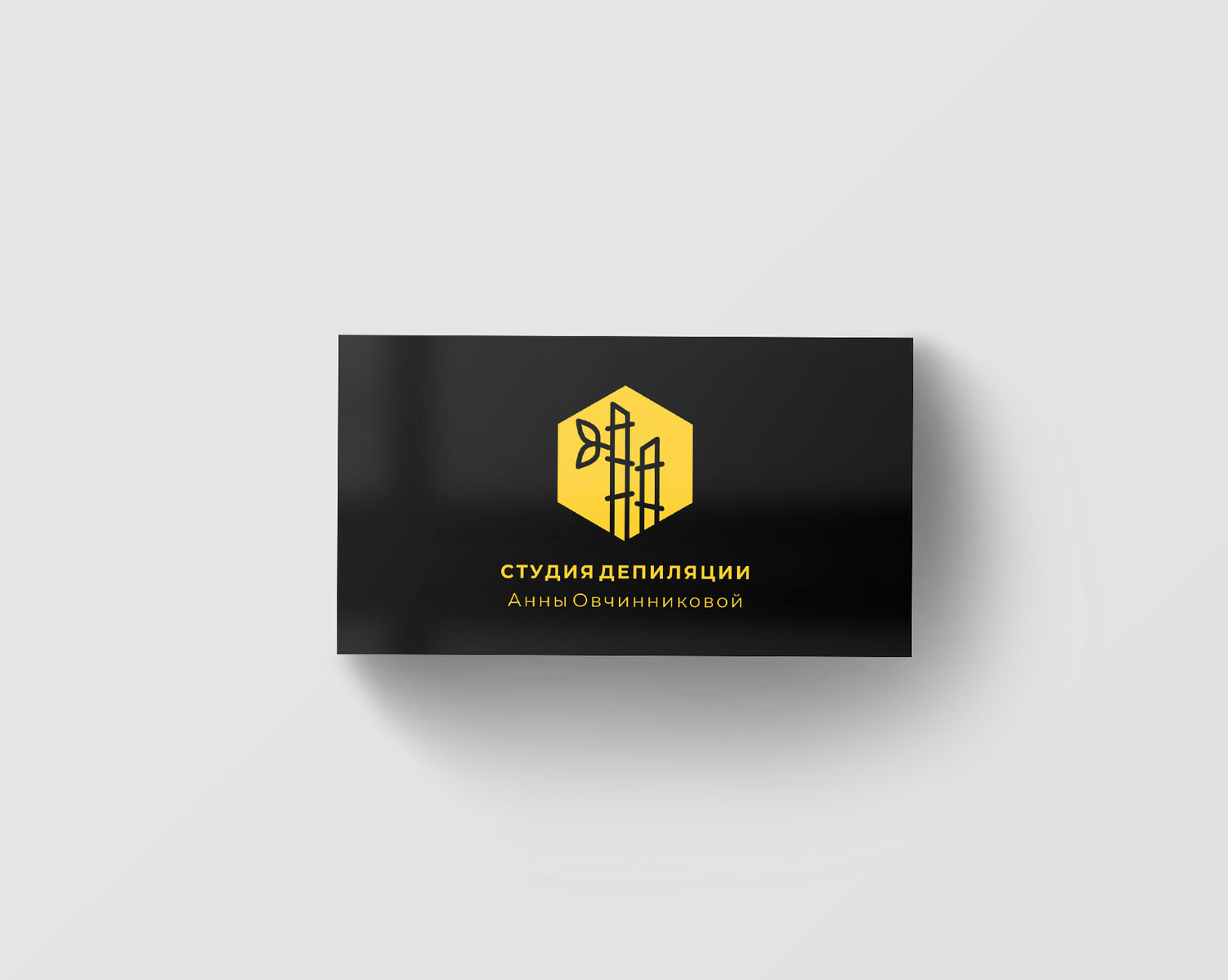 фирменный стиль лев лого, макет логотипа, логотип, logo, дизайн