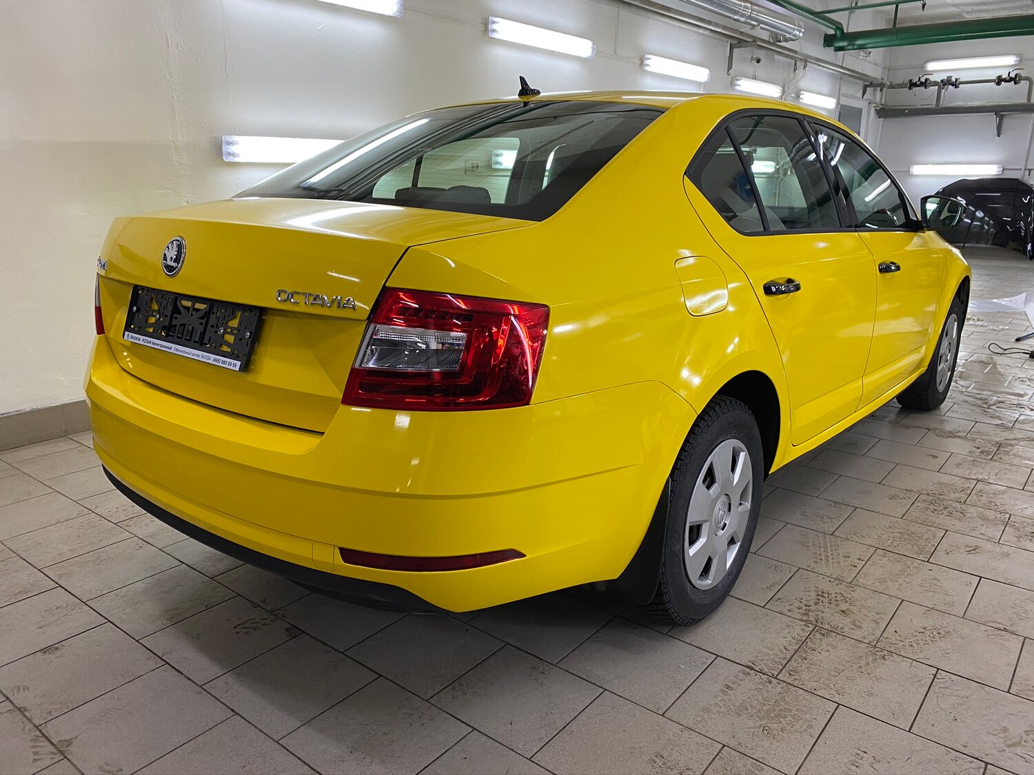 škoda rapid, фольксваген поло седан желтый, volkswagen polo yellow, skoda rapid золотистая, шкода рапид золотая