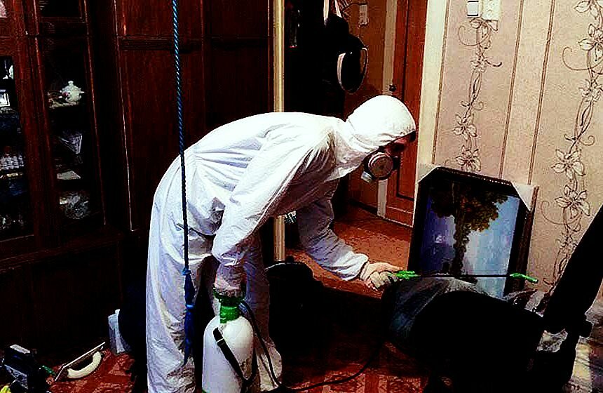 комната, дезинсекция, дезинфекция помещения при чумке собак, дезинфекция, тела