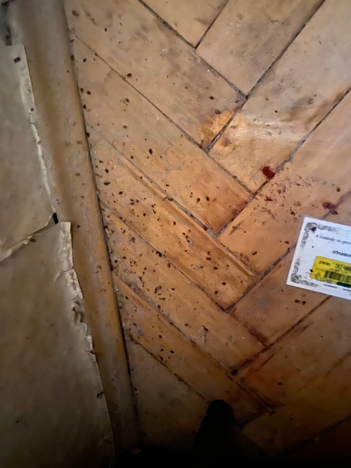 деревянный пол, старый деревянный пол, пол в доме, рассохся деревянный пол, гнилые утепленные деревянные полы через 5 лет