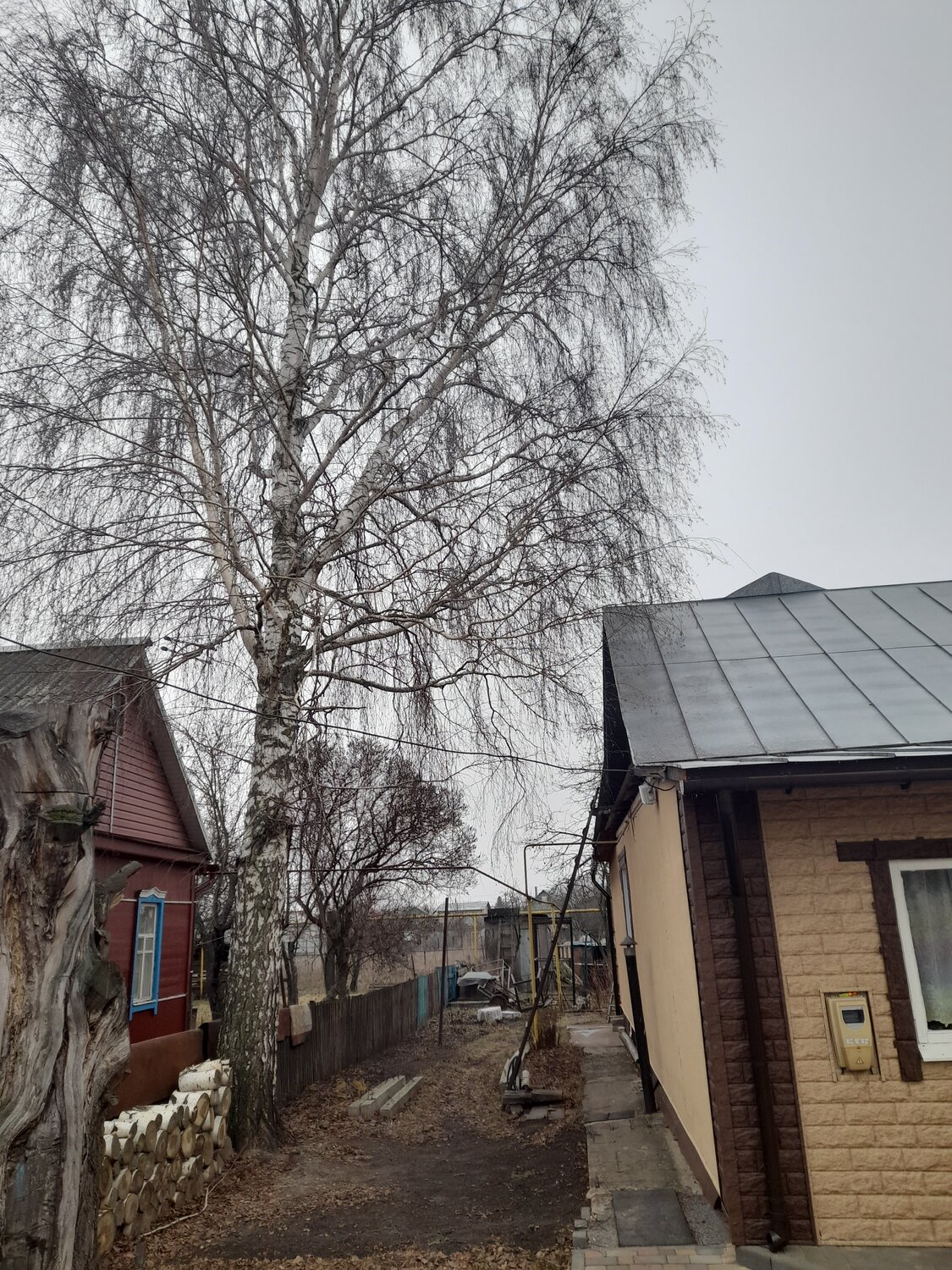 дача коттедж, дом дача, дома дачи коттеджи, в деревне, дачный дом