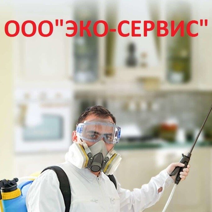 ООО ЭКО-СЕРВИС