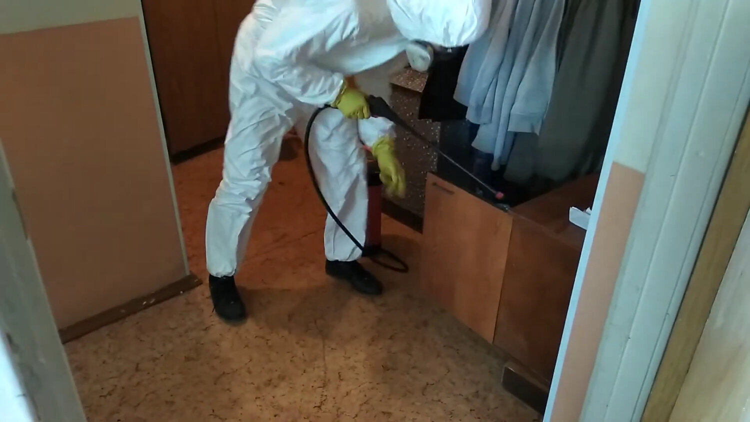 дезинфекция, дезинсекция, дезинфекция и дезинсекция, дезинфекция помещений, дезинфекция дезинсекция дератизация