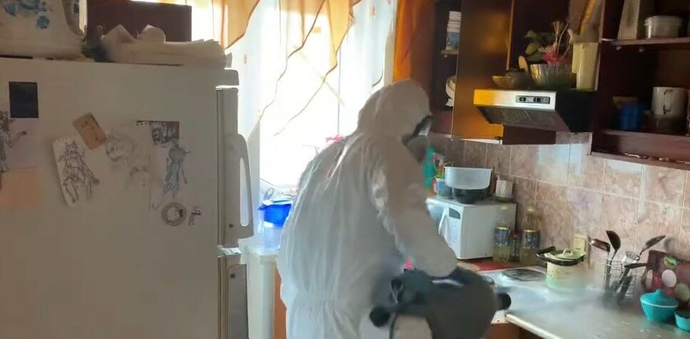 дезинсекция, дезинфекция и дезинсекция, дезинфекция от клопов, дезинфекция дезинсекция дератизация, дезинфекция