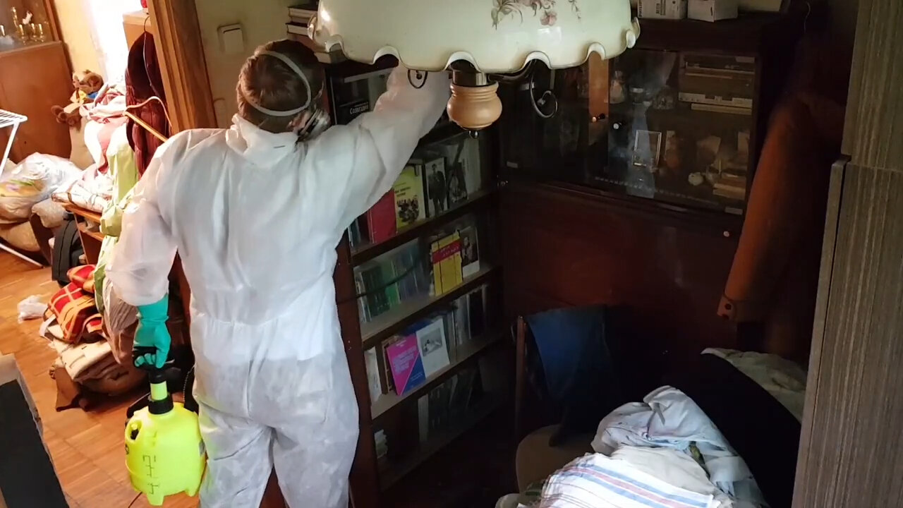 дезинсекция, дезинфекция, дезинфекция и дезинсекция, дезинфекция помещений, дезинфекция дезинсекция дератизация