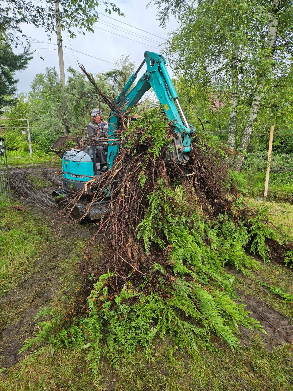 мини экскаватор, услуги мини экскаватора, корчевание пней, аренда мини экскаватора, корчевание пней мини экскаватором