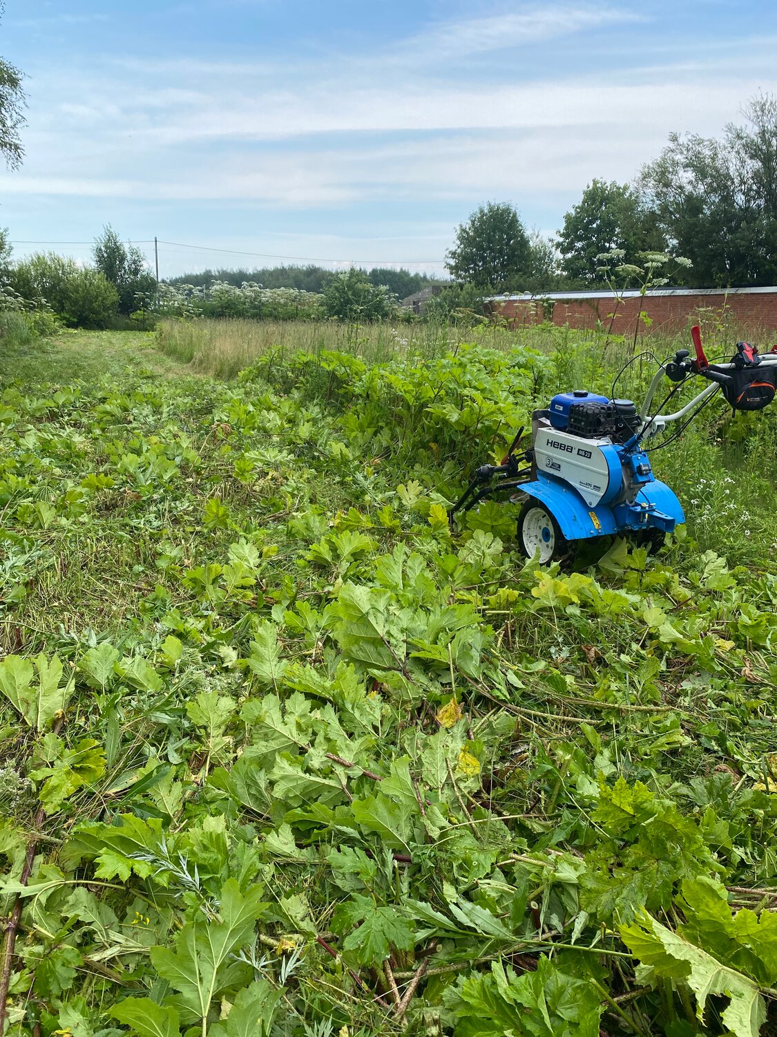мотоблоки нева, мотоблок нева мб 23, мотоблок бу, мотоблок нева мб, мотоблок с косилкой
