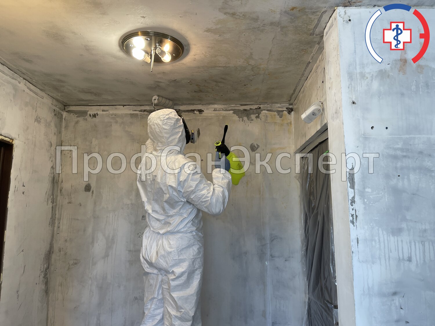 дезинфекция помещений, дезинсекция, дезинфекция дезинсекция дератизация, штукатурка стен, дезинфекции